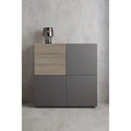 Noble Wood Gray Shoe Cabinet